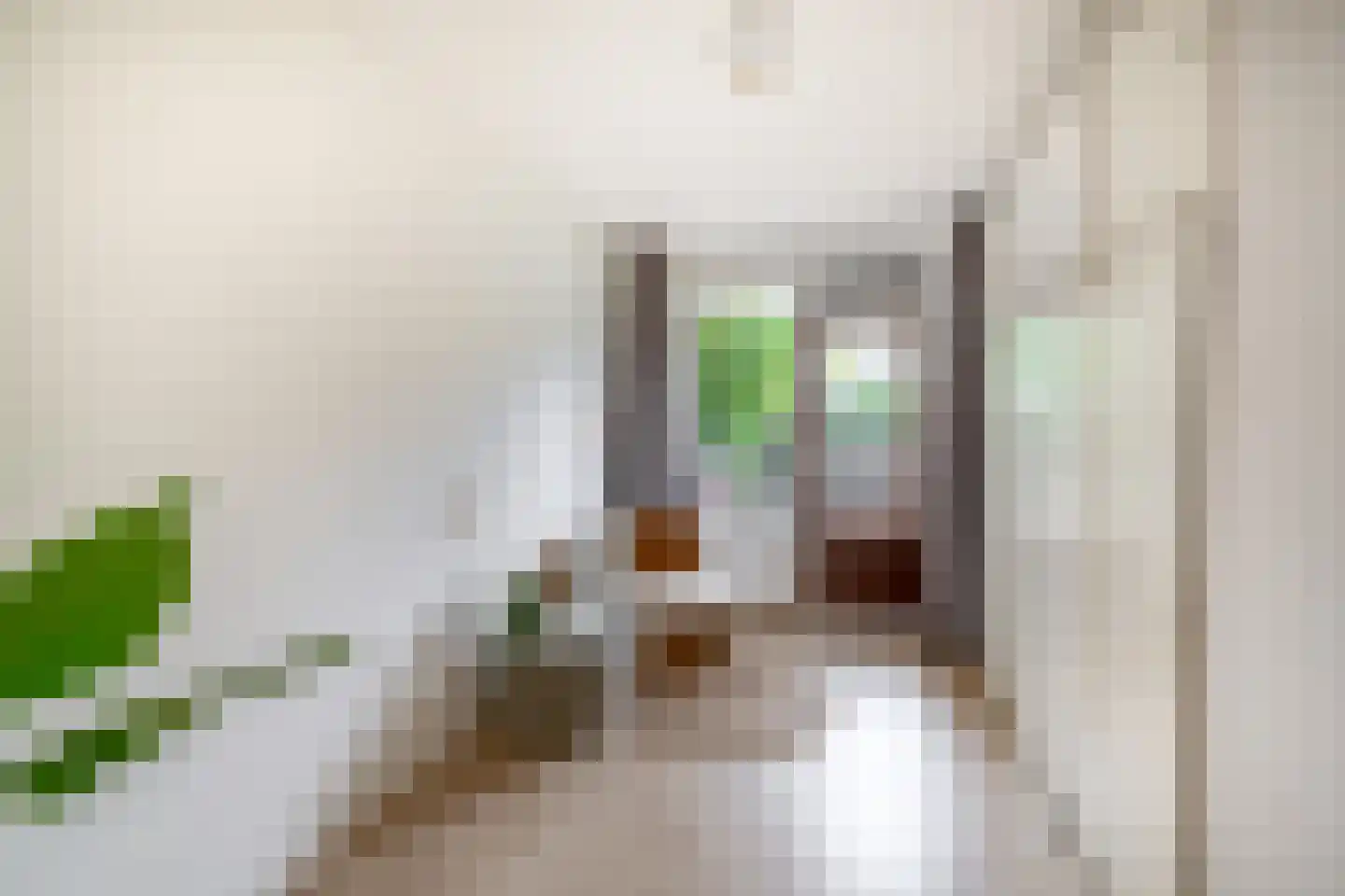 Fruinplantsoen 53 Utrecht thumbnail 11