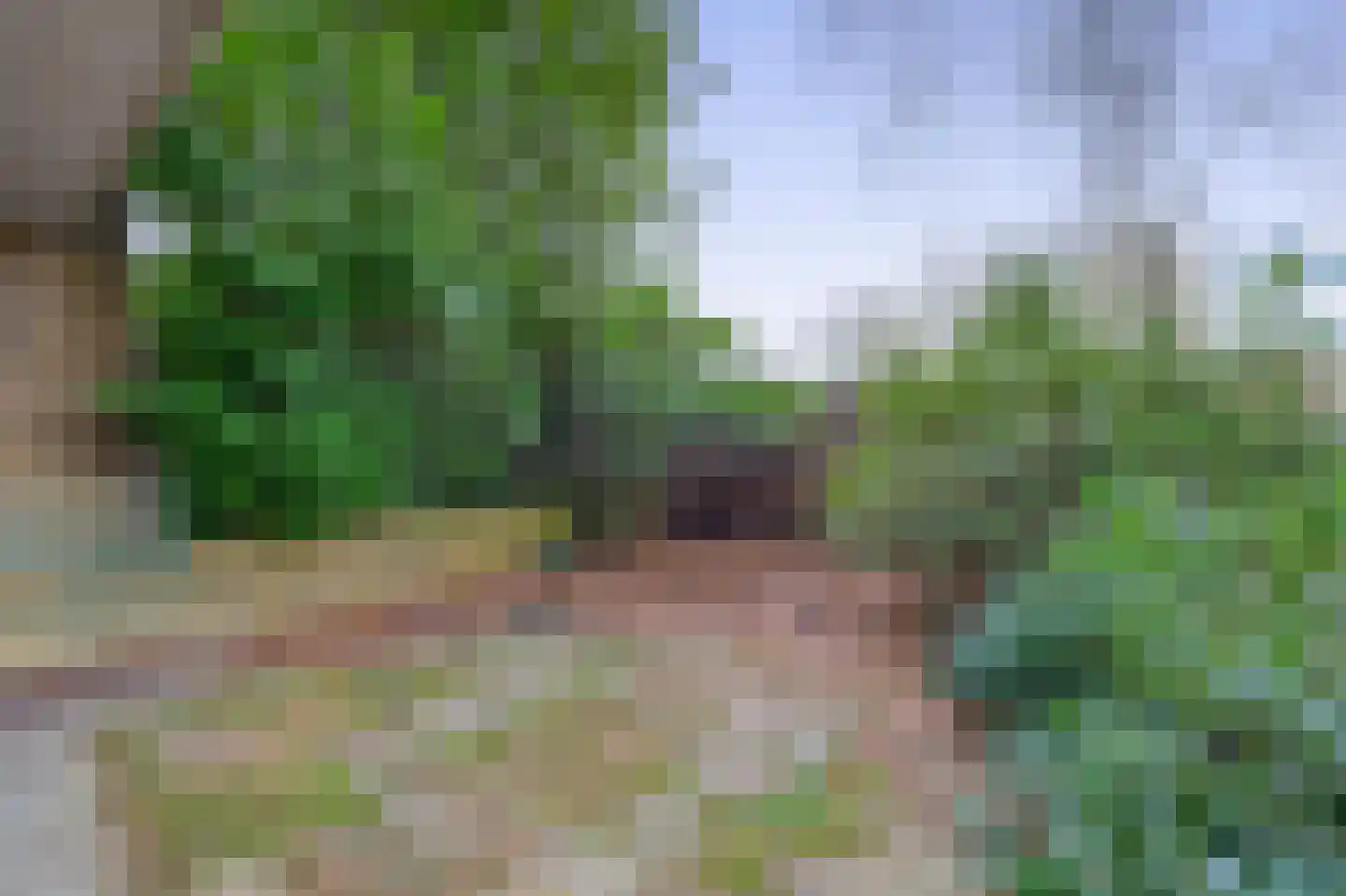 Fruinplantsoen 53 Utrecht thumbnail 15