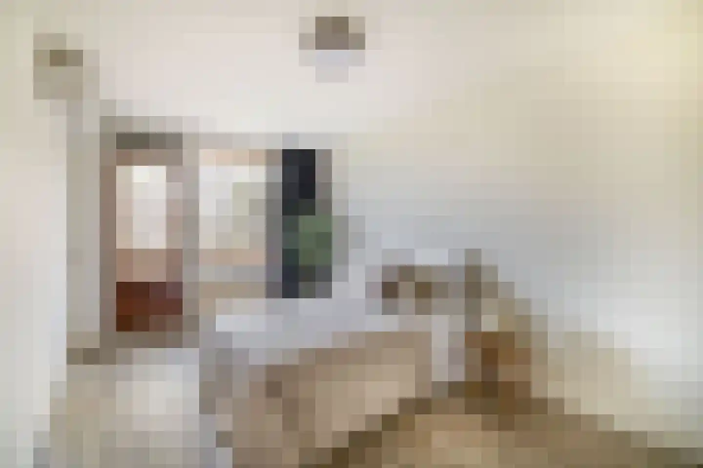 Fruinplantsoen 53 Utrecht thumbnail 32
