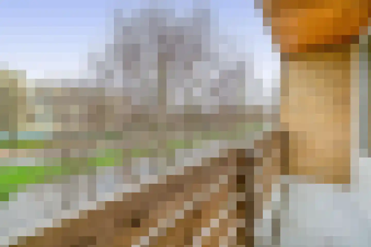 Fruinplantsoen 53 Utrecht thumbnail 34