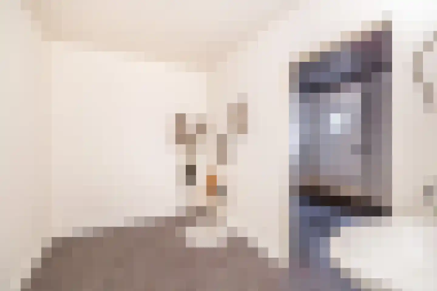 Fruinplantsoen 53 Utrecht thumbnail 37