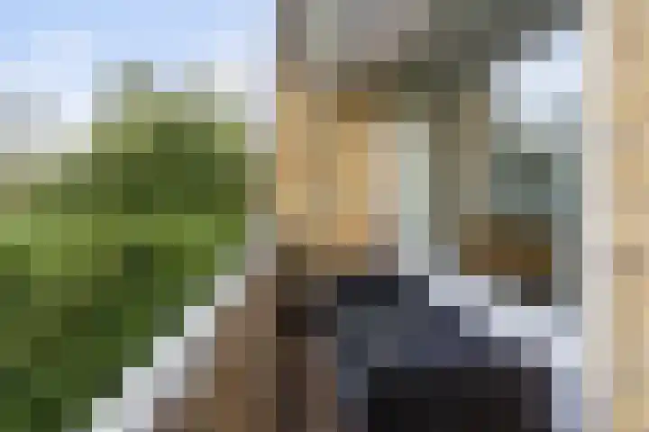Fruinplantsoen 57 A Utrecht thumbnail 10