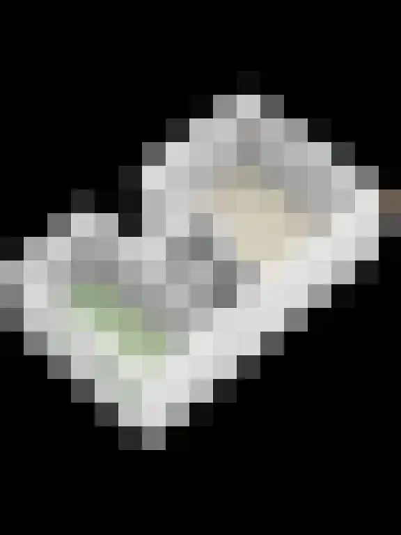 Fruinplantsoen 57 A Utrecht thumbnail 19