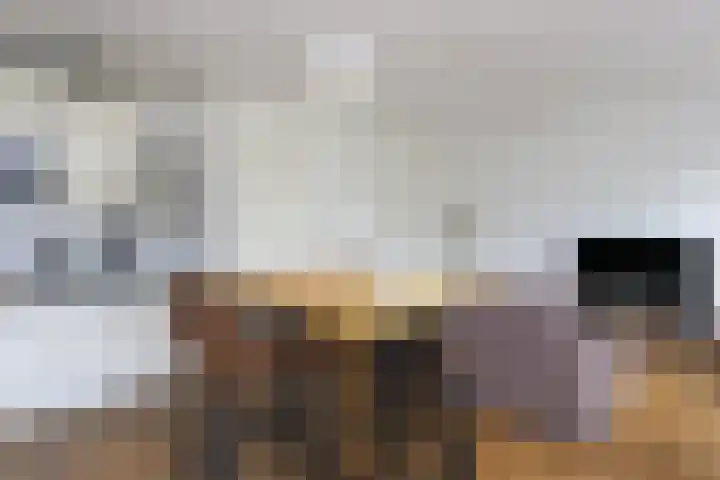 Fruinplantsoen 57 A Utrecht thumbnail 6