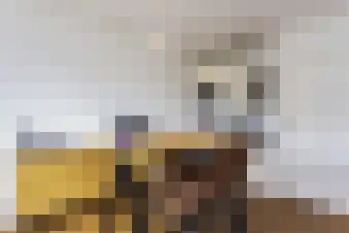 Fruinplantsoen 57 A Utrecht thumbnail 7
