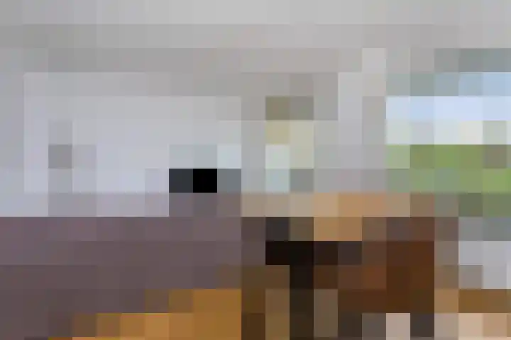 Fruinplantsoen 57 A Utrecht thumbnail 8