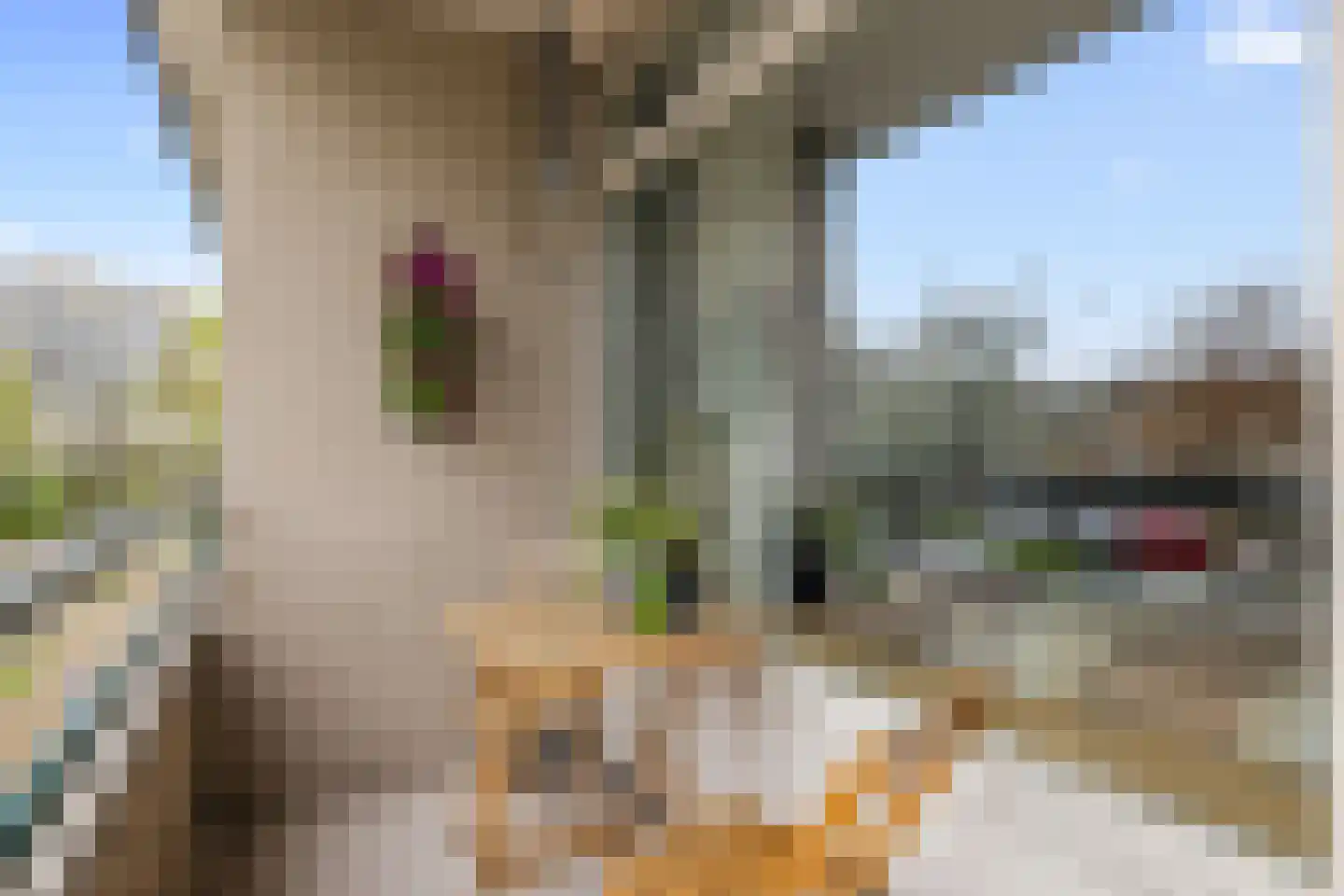 Fruinplantsoen 79 Utrecht thumbnail 26
