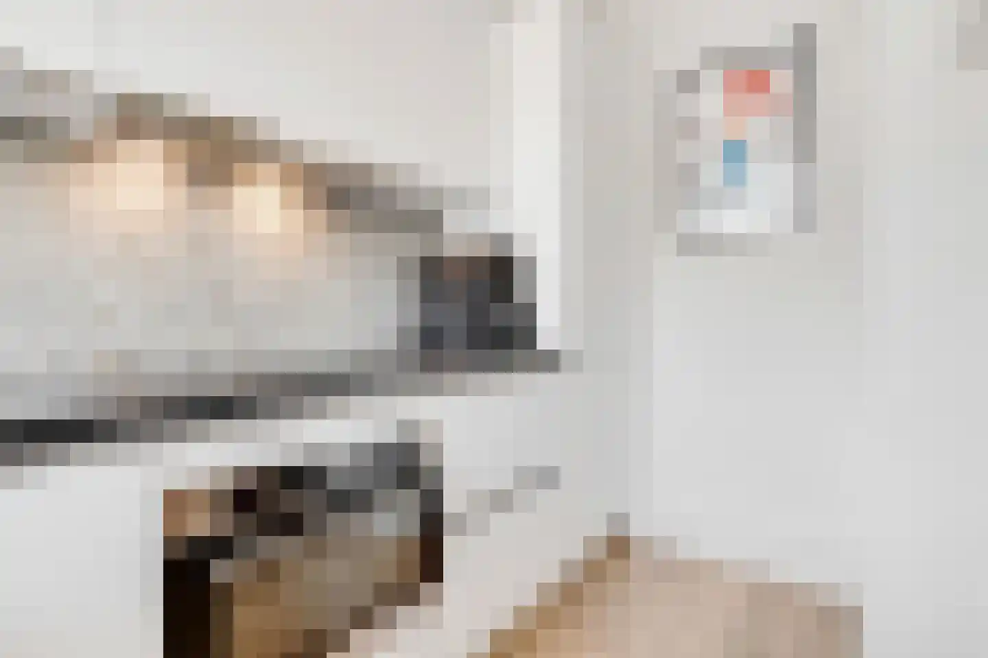 Fruinplantsoen 80 Utrecht thumbnail 18
