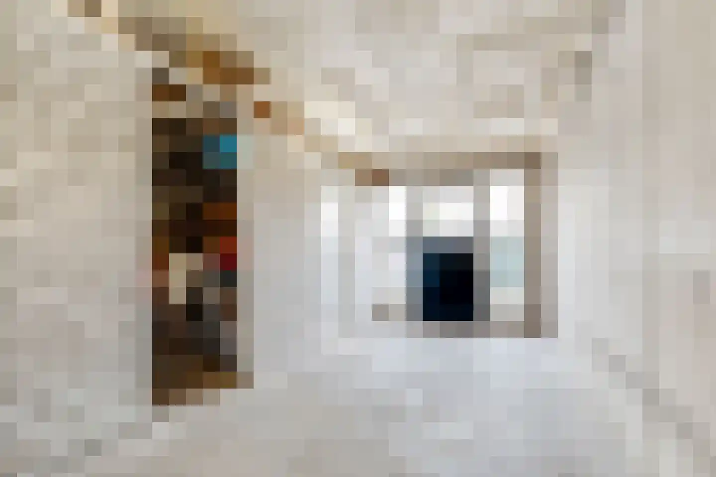 Fruinplantsoen 80 Utrecht thumbnail 33