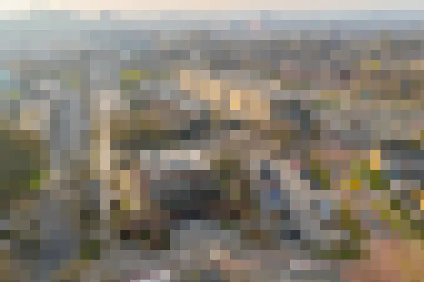 Fruinplantsoen 80 Utrecht thumbnail 37