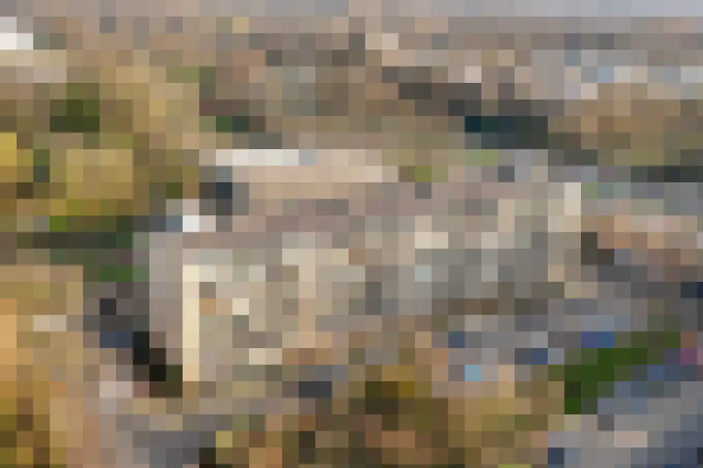 Fruinplantsoen 80 Utrecht thumbnail 5