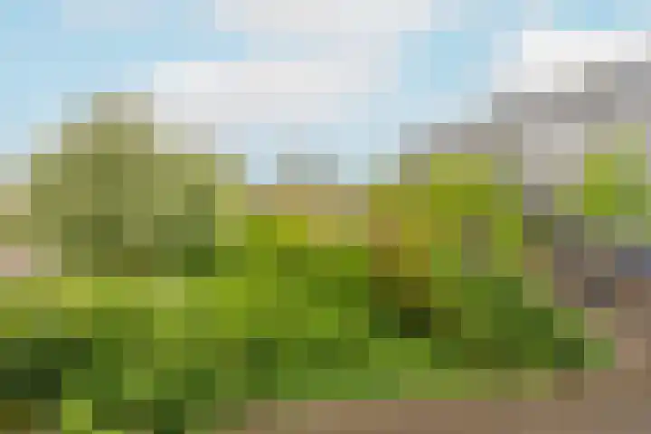 Fruinplantsoen 81 Utrecht thumbnail 12