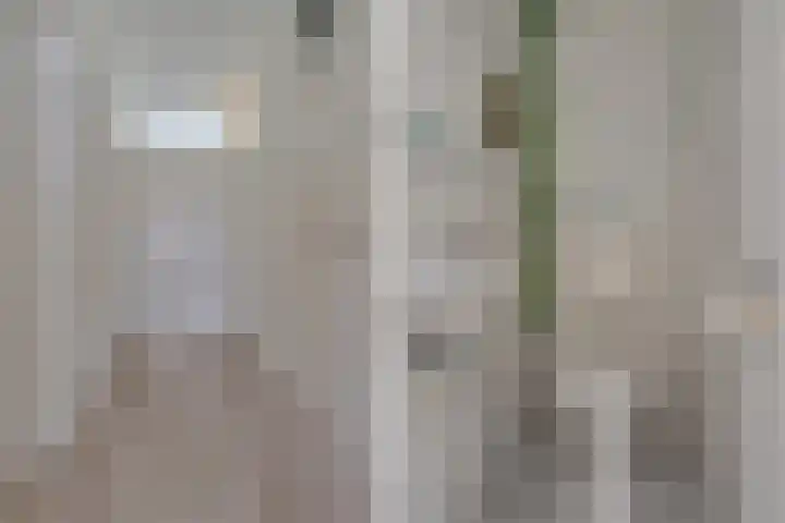 Fruinplantsoen 81 Utrecht thumbnail 19