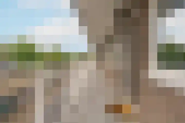 Fruinplantsoen 81 Utrecht thumbnail 25