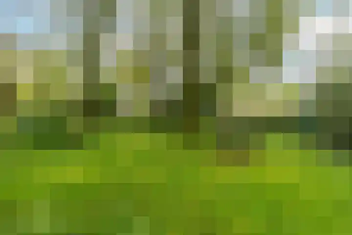Fruinplantsoen 81 Utrecht thumbnail 28