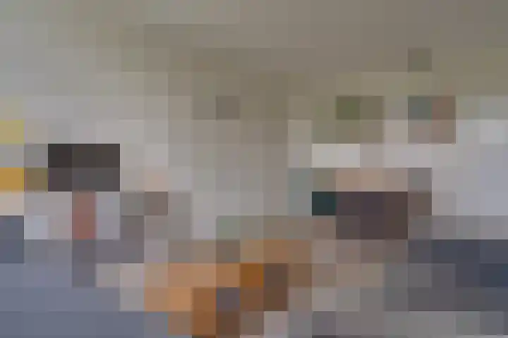Fruinplantsoen 81 Utrecht thumbnail 5