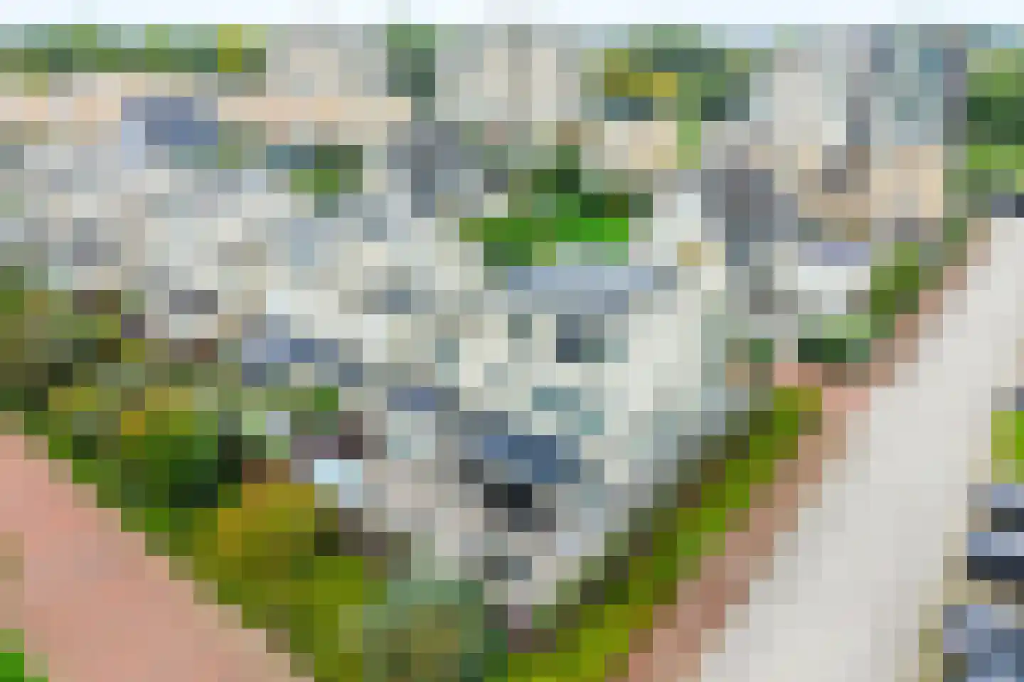 Fruinstraat 2 Katwijk thumbnail 79