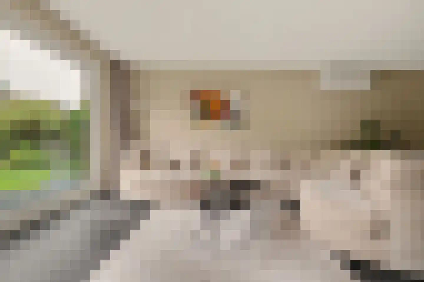 Fruitgaard 7 Strijen thumbnail 11