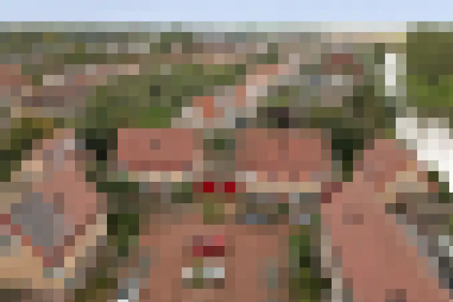 Fruitgaard 7 Strijen thumbnail 9