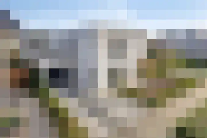 Fruitgaard 74 in Uden