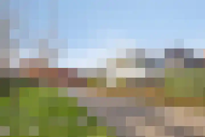 Fruitgaard 74 Uden thumbnail 65