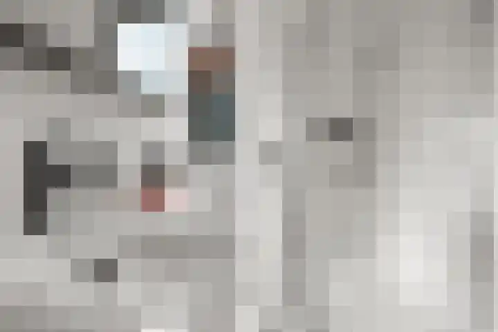 Fruithoeve 26 Arnhem thumbnail 25