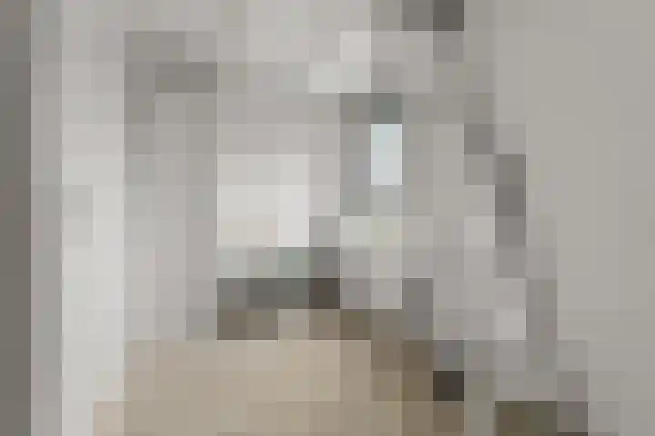 Fruithoeve 26 Arnhem thumbnail 28