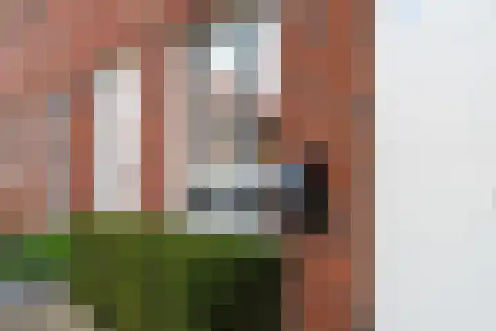 Fruithoeve 26 Arnhem thumbnail 7