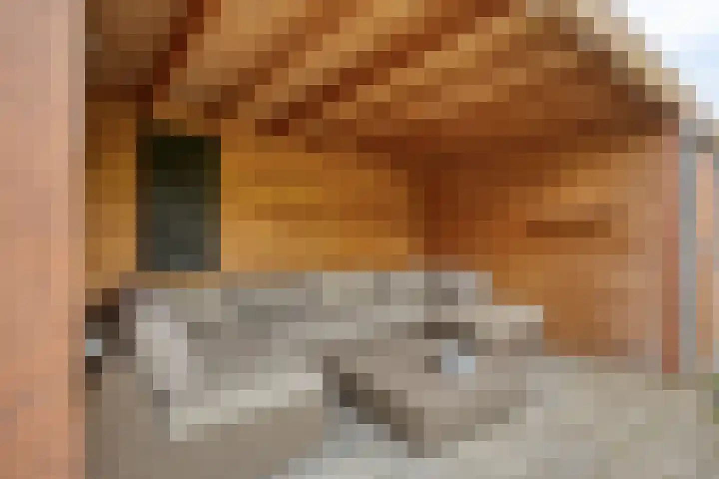 Fruithoeve 28 Arnhem thumbnail 86