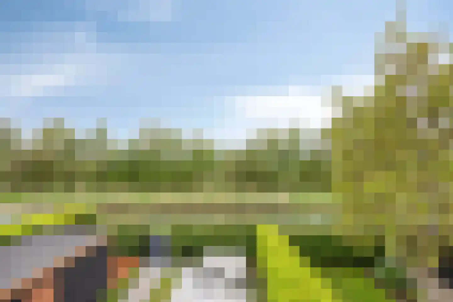 Fruithoeve 28 Arnhem thumbnail 92