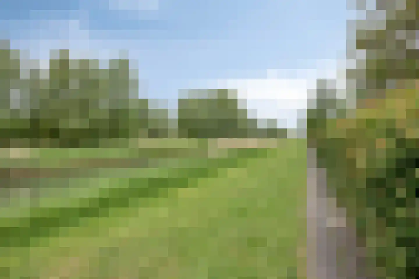 Fruithoeve 28 Arnhem thumbnail 95