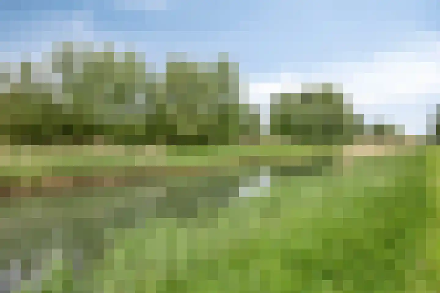 Fruithoeve 28 Arnhem thumbnail 96