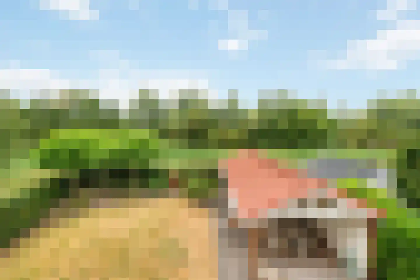Fruithoeve 34 Arnhem thumbnail 13