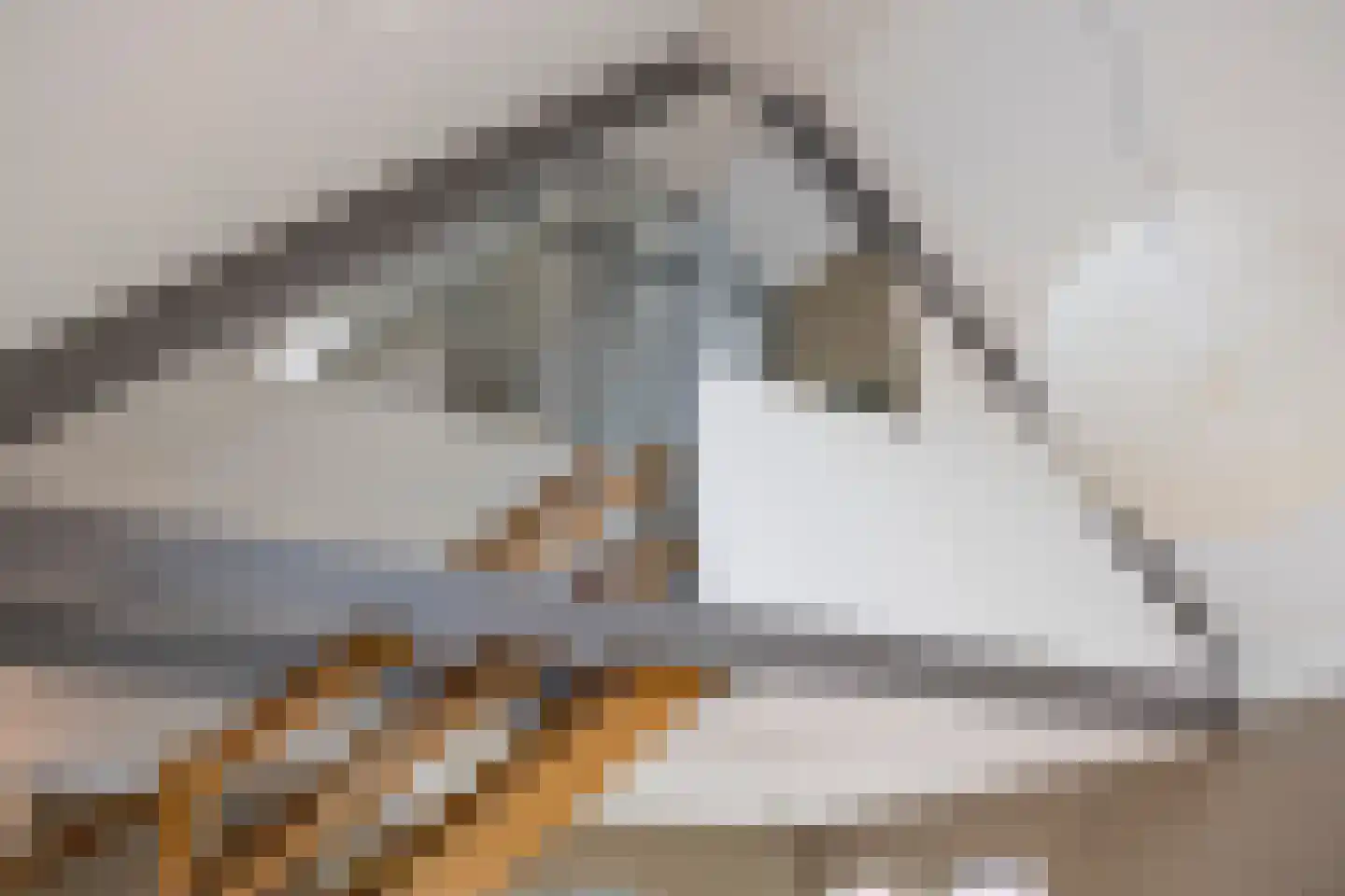 Fruithoeve 34 Arnhem thumbnail 25