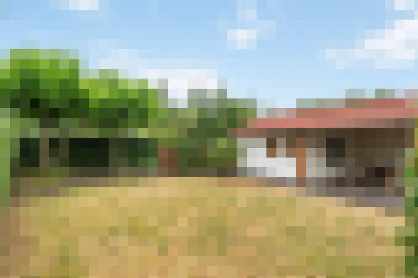 Fruithoeve 34 Arnhem thumbnail 48