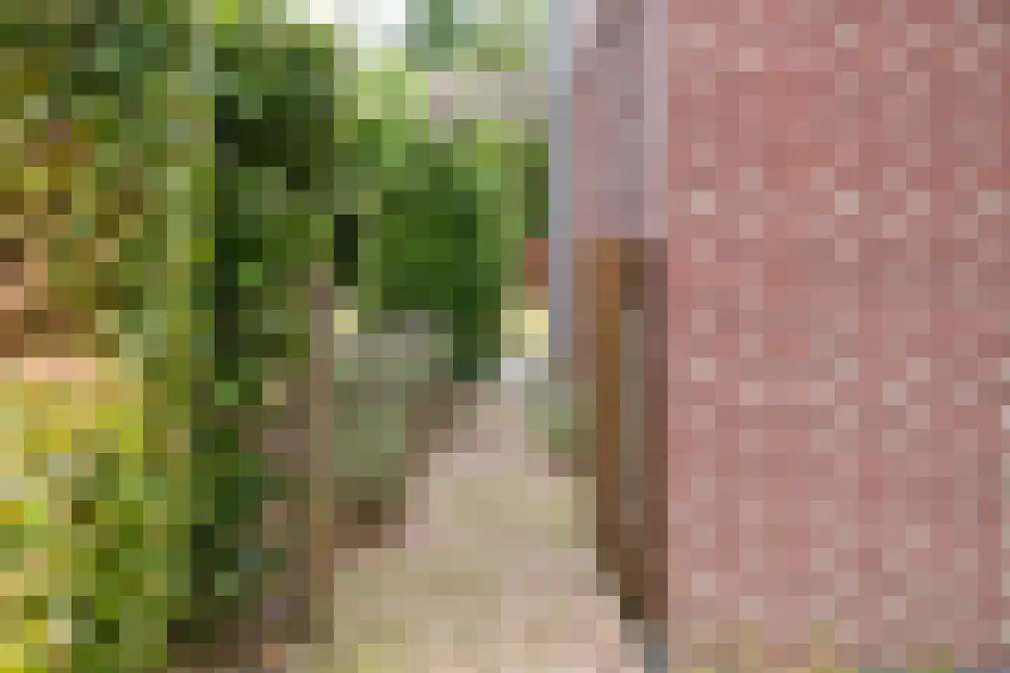 Fruithoeve 34 Arnhem thumbnail 56