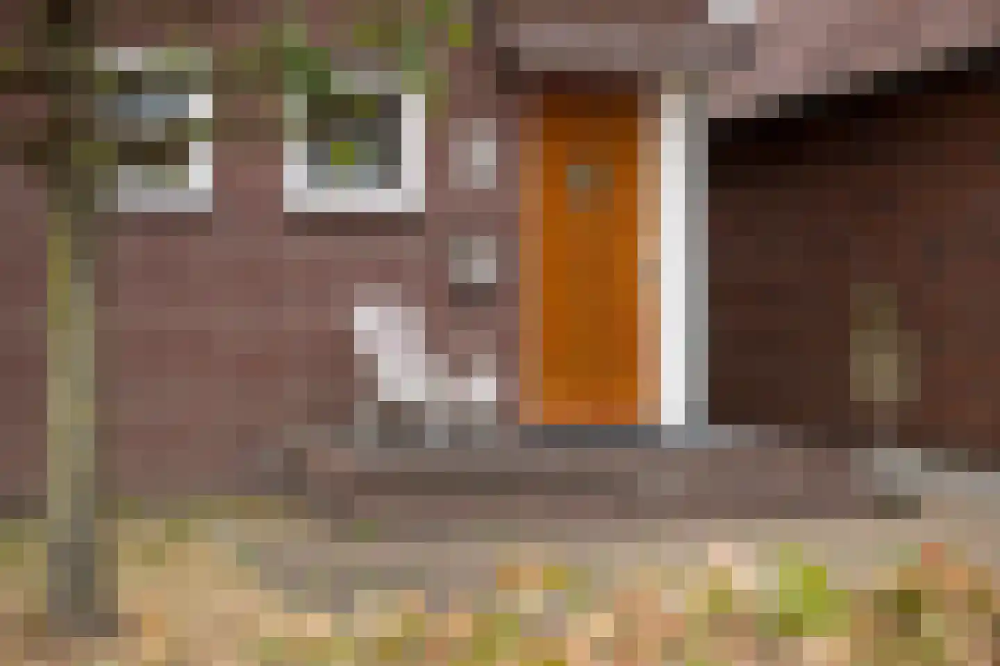 Fruithoeve 34 Arnhem thumbnail 6