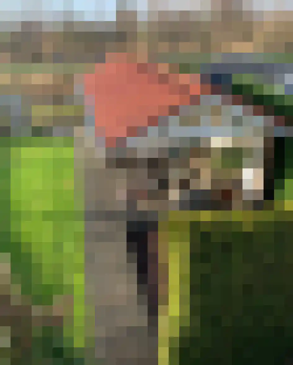 Fruithoeve 34 Arnhem thumbnail 60