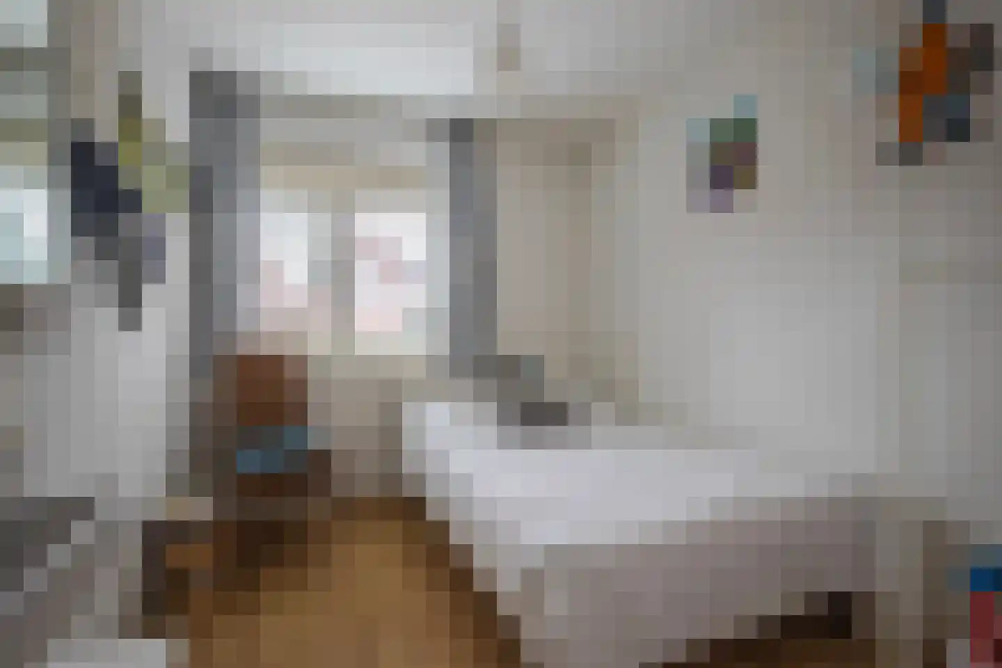 Fruithoeve 46 Arnhem thumbnail 21