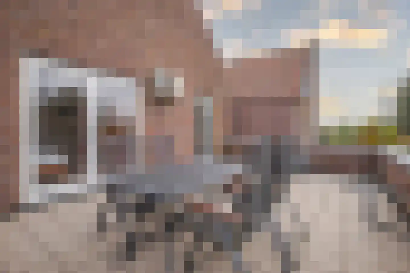 Fruithoeve 46 Arnhem thumbnail 27