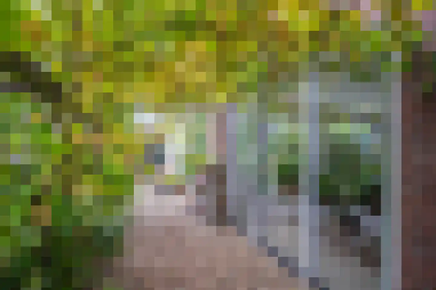 Fruithoeve 46 Arnhem thumbnail 32