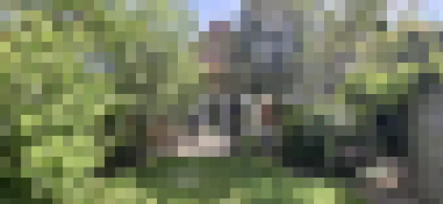 Fruithoeve 46 Arnhem thumbnail 42