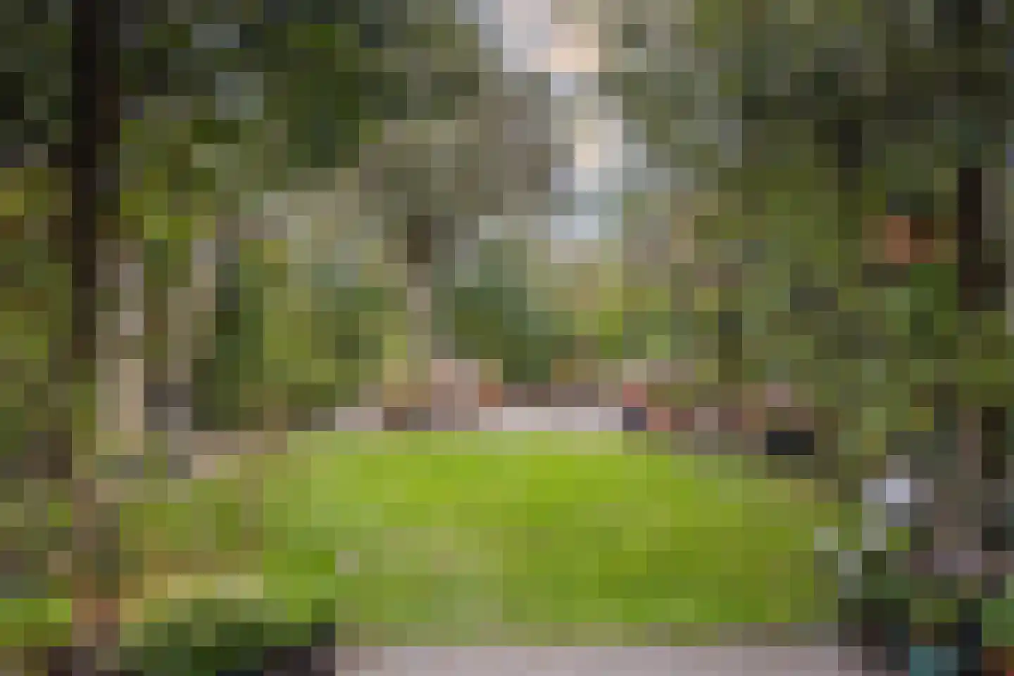 Fruithoeve 46 Arnhem thumbnail 5