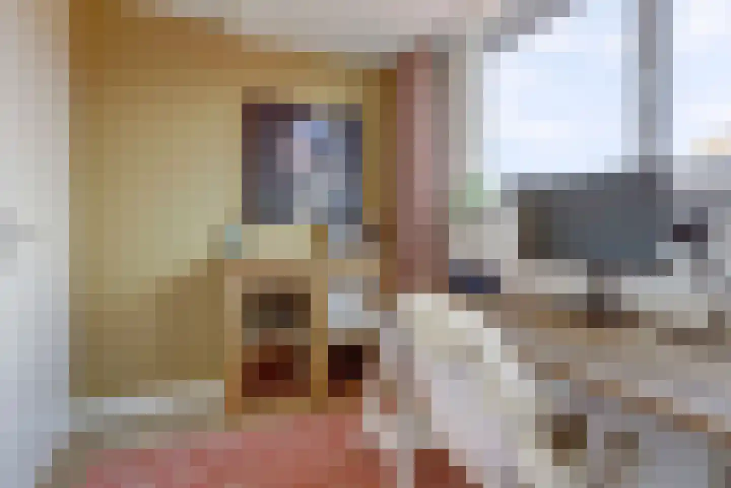 Fruithoeve 47 Arnhem thumbnail 39
