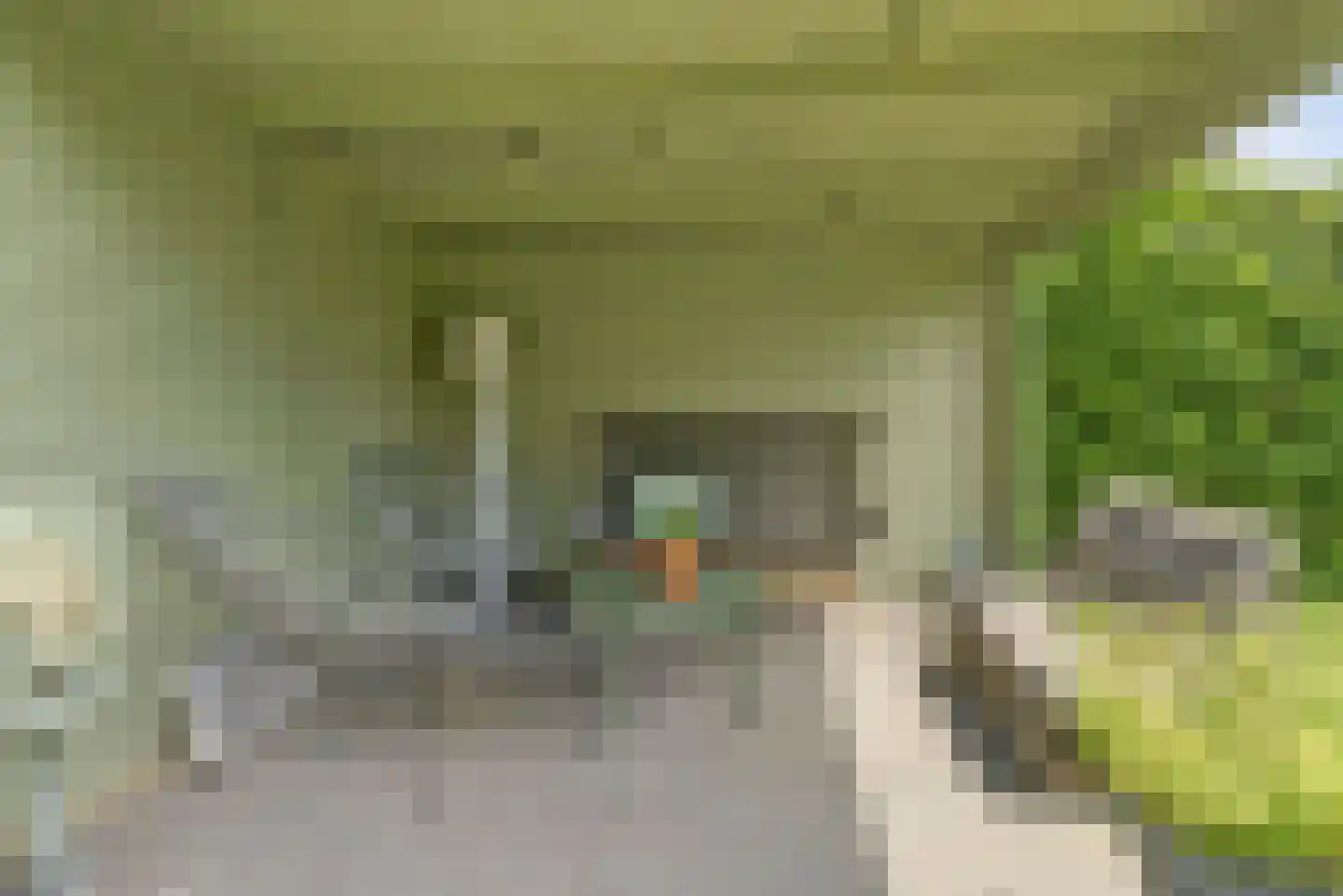 Fruithoeve 47 Arnhem thumbnail 42