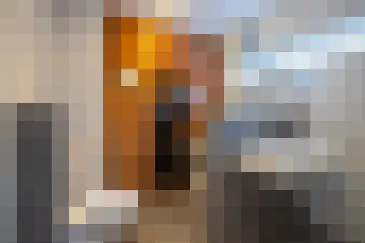 Fruithoeve 48 Arnhem thumbnail 22