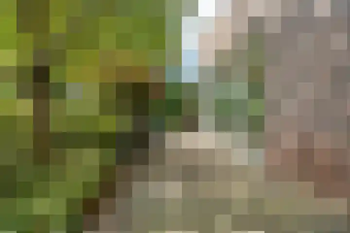 Fruithoeve 48 Arnhem thumbnail 28