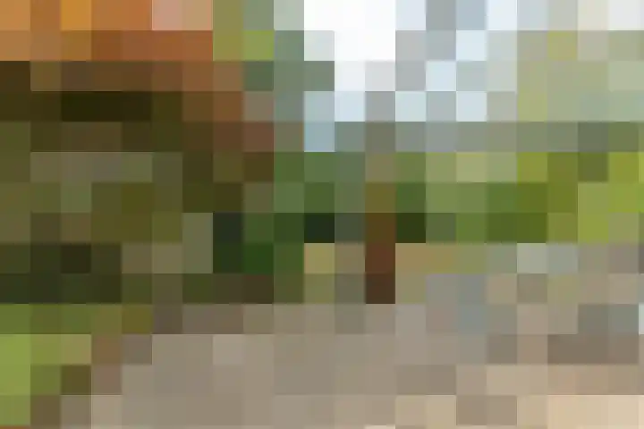 Fruithoeve 48 Arnhem thumbnail 29
