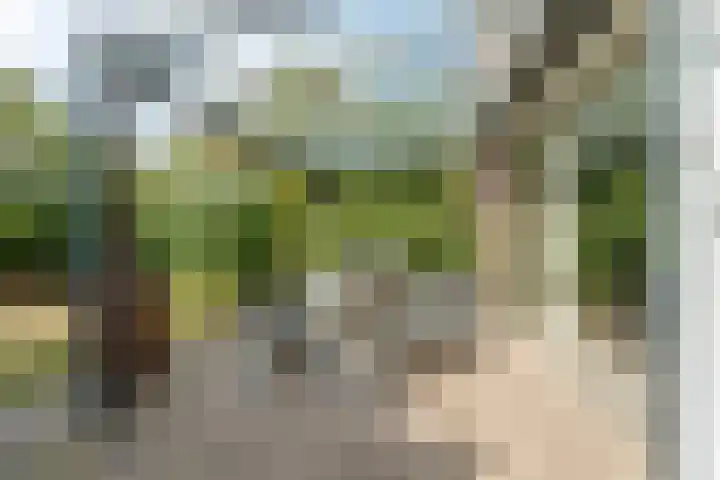 Fruithoeve 48 Arnhem thumbnail 30