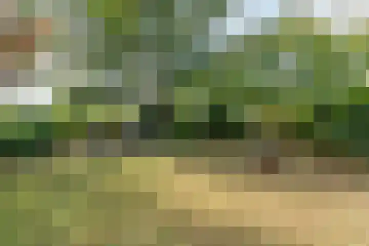 Fruithoeve 48 Arnhem thumbnail 31